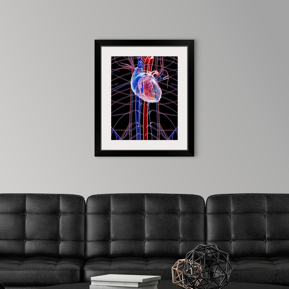 A modern room featuring Human heart, computer artwork.