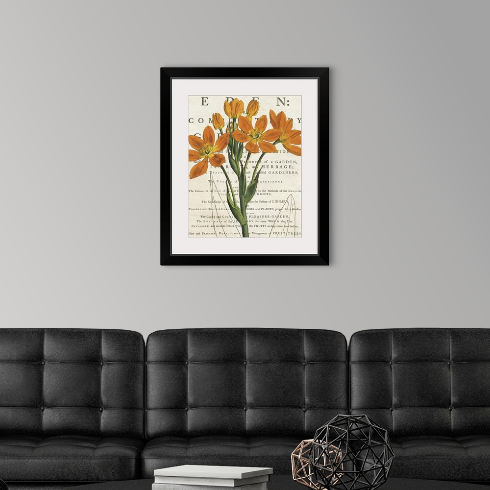 A modern room featuring Vintage stylized illustration of an orange euphorbia against a cream background with text.