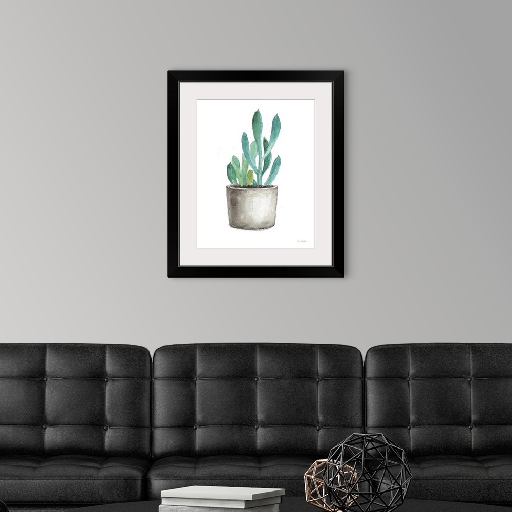 A modern room featuring Mixed Greens Succulent V