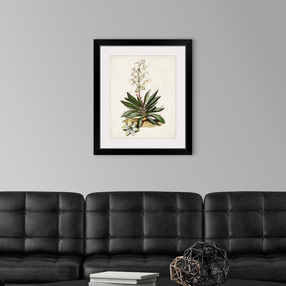 A modern room featuring Antique Botanical Study I