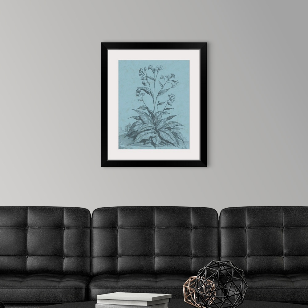 A modern room featuring This decorative artwork features an illustrative plant over a distressed blue background with a f...