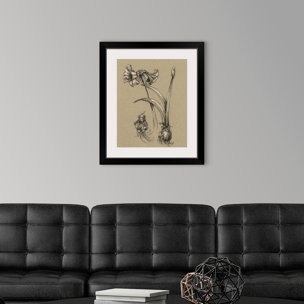 A modern room featuring Decorative print of a botanical drawing featuring a flower growing from a bulb.
