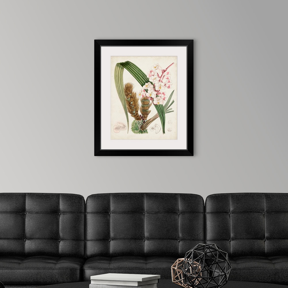 A modern room featuring Delicate Tropicals VIII