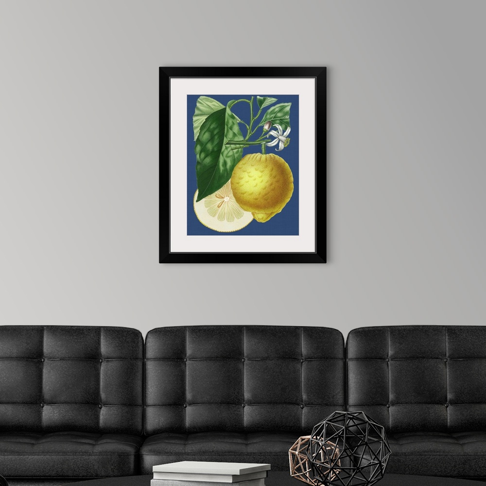 A modern room featuring French Lemon on Navy I