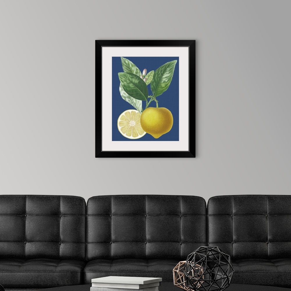 A modern room featuring French Lemon on Navy II