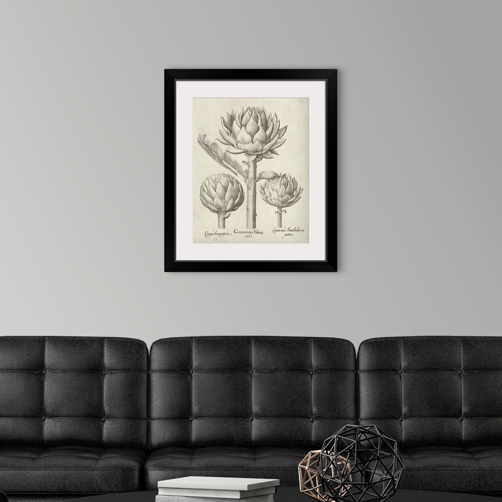A modern room featuring Vintage-inspired botanical illustration of an artichoke.