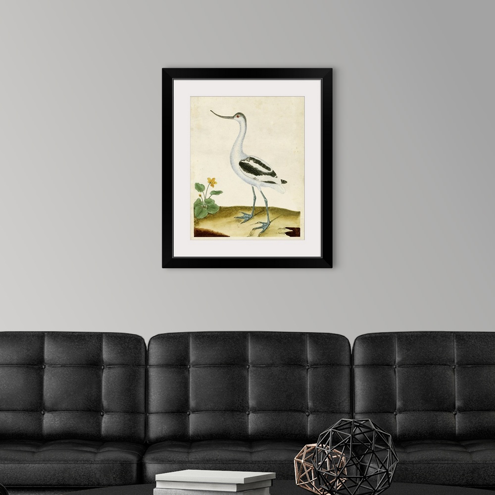 A modern room featuring Heron Portrait VIII