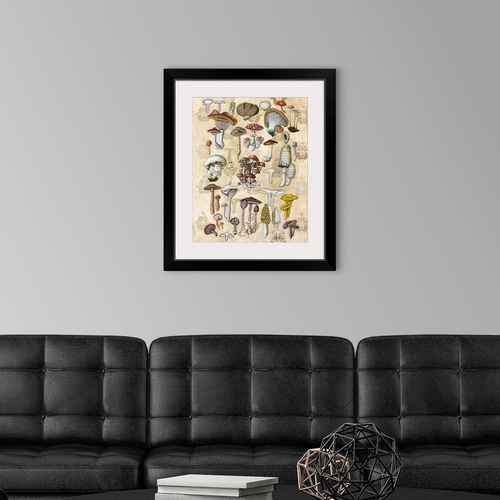 A modern room featuring Mycological Study