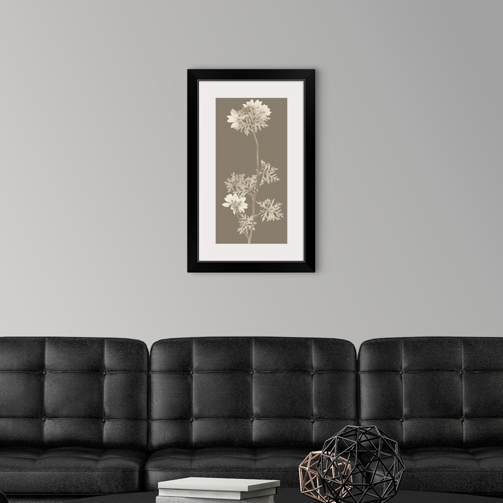 A modern room featuring Taupe Nature Study II