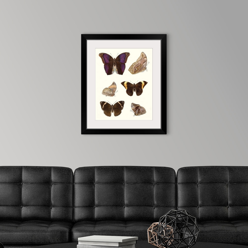 A modern room featuring Violet Butterflies II