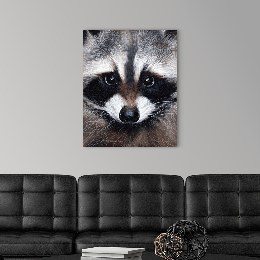 Raccoon Portrait Wall Art Canvas Prints Framed Prints Wall Peels Great Big Canvas