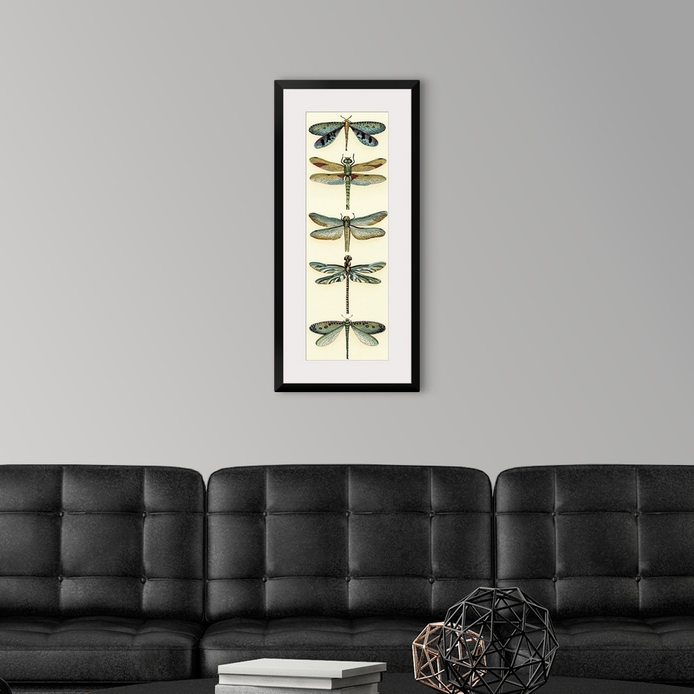 A modern room featuring Dragonfly Collector I