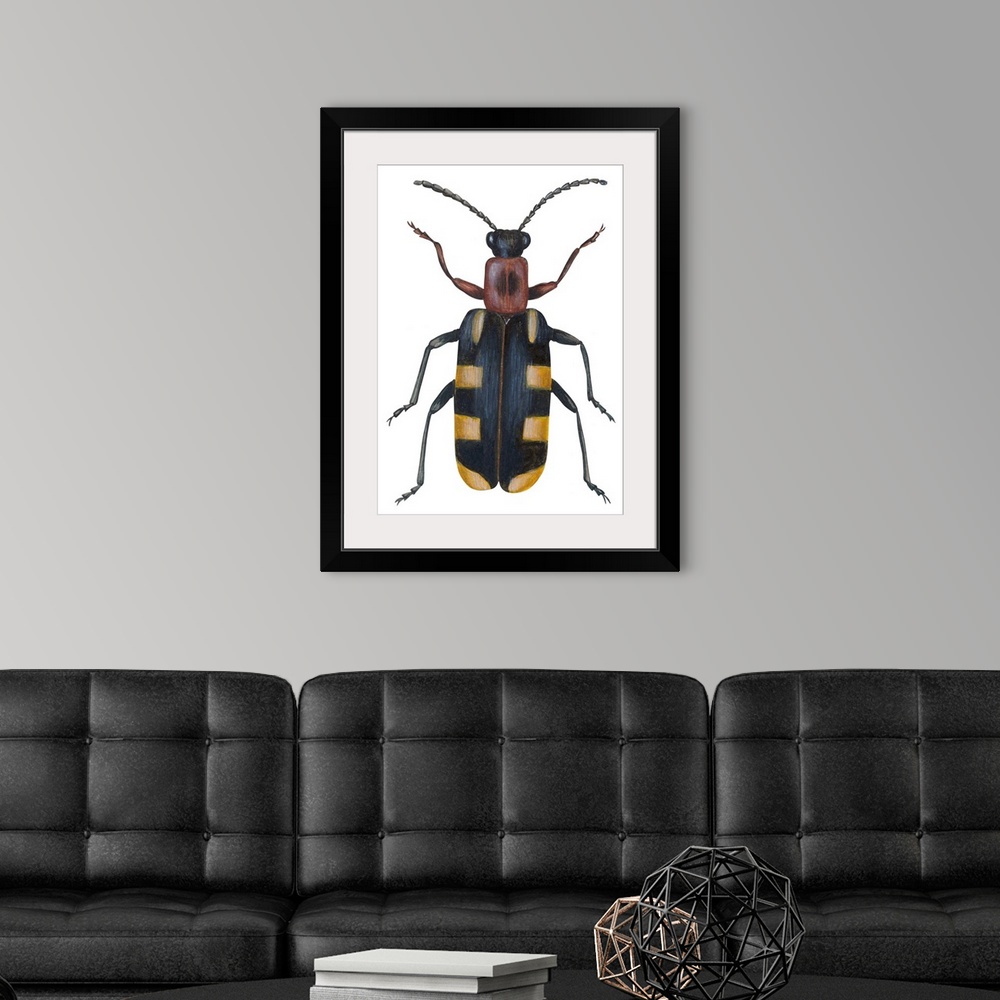 A modern room featuring Asparagus Beetle (Criocerus Asparagi)