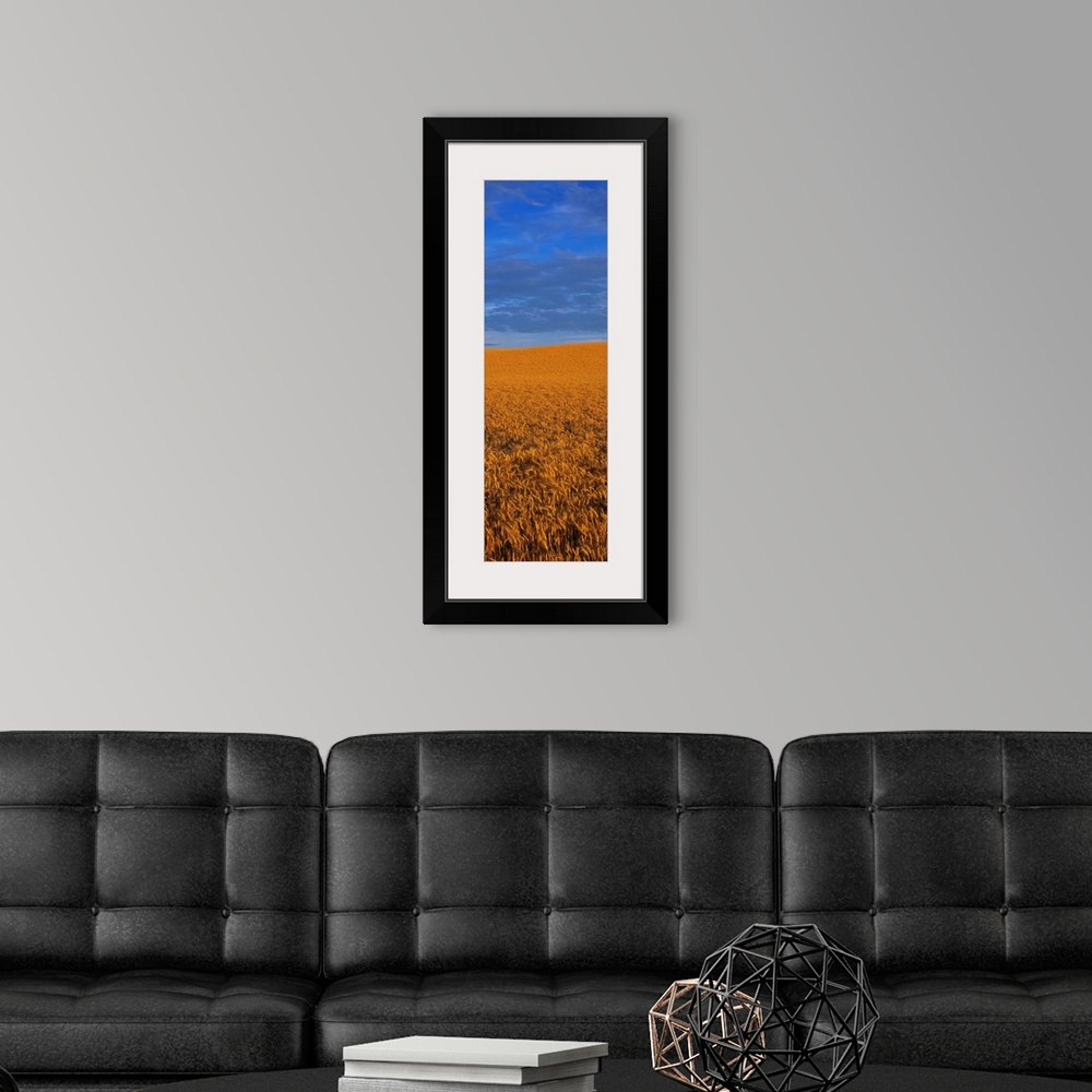 A modern room featuring Clouds Over a Wheat Field