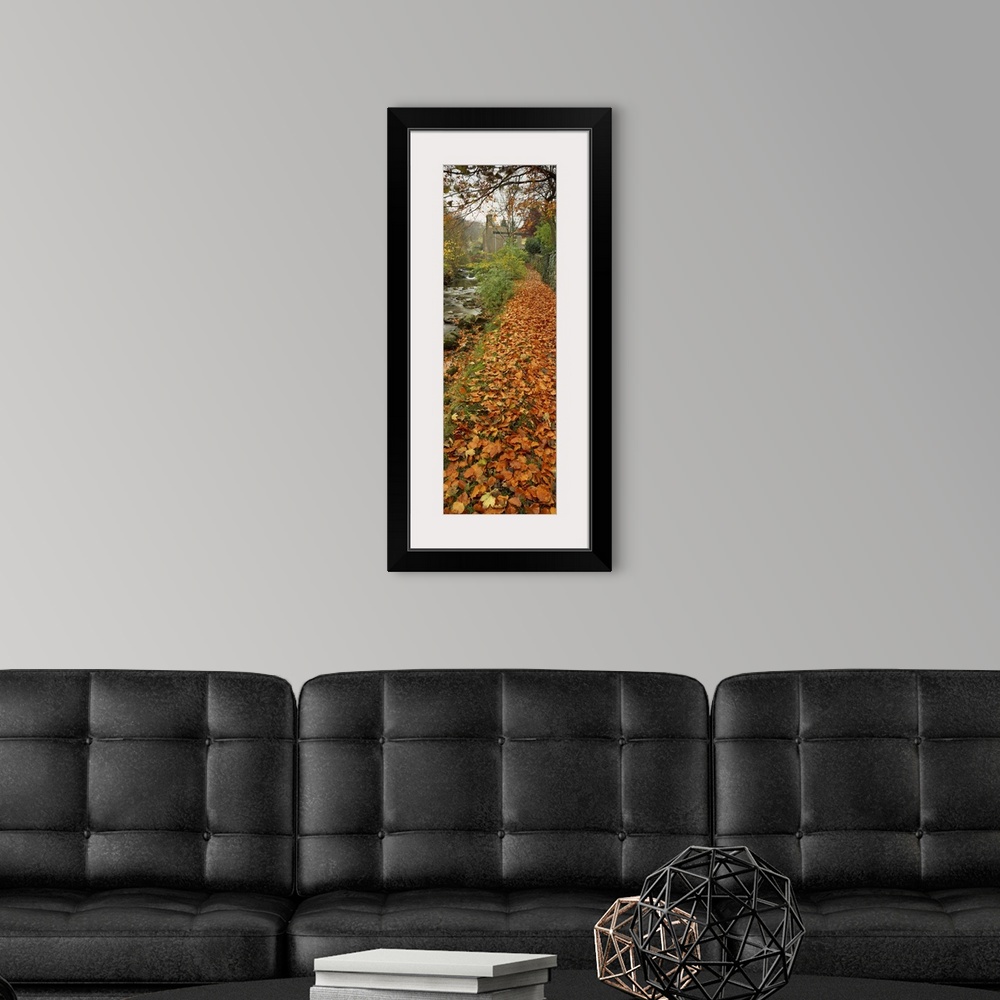 A modern room featuring Leaves on the grass in autumn, Sneaton, North Yorkshire, England