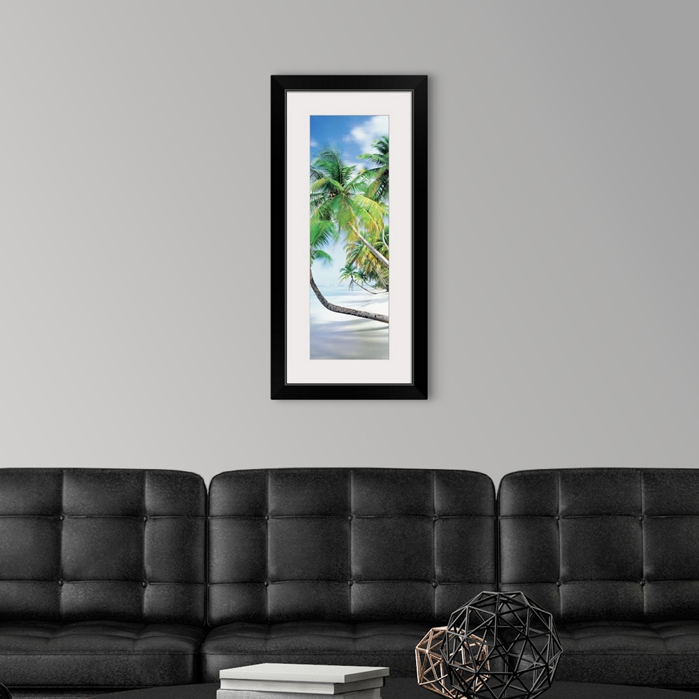 A modern room featuring Vertical photograph on an oversized canvas of palm trees growing at an angle toward the coast lin...