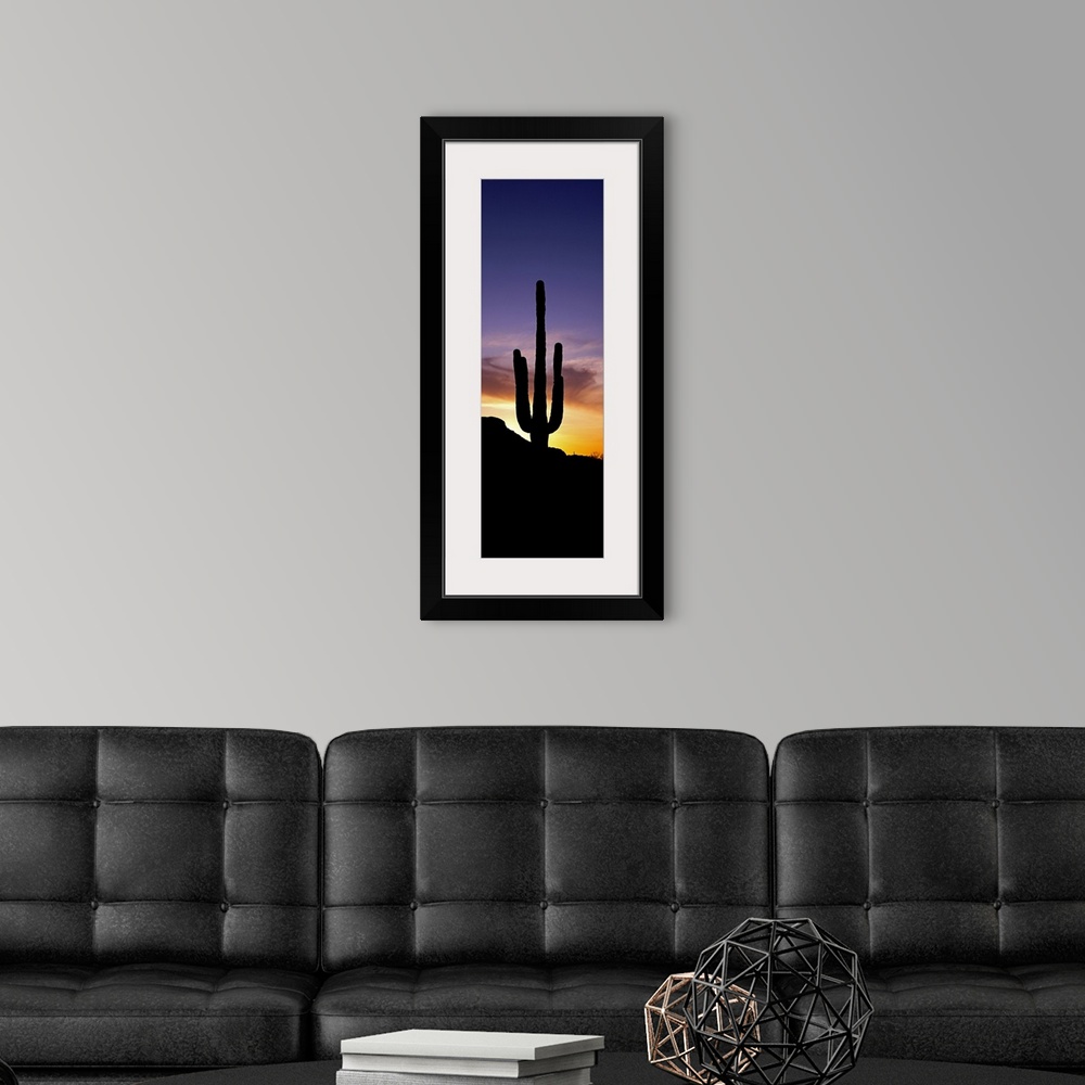 A modern room featuring Saguaro Cactus and Sunset Saguaro National Park Arizona