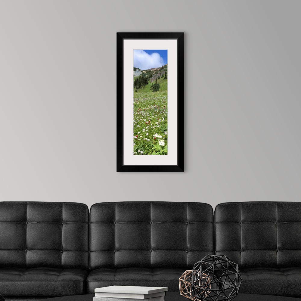 A modern room featuring Wildflowers Chilcotin Mtns BC Canada
