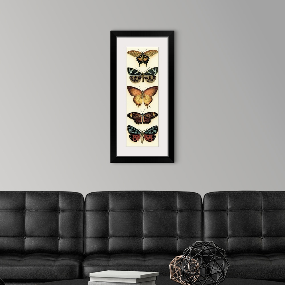 A modern room featuring Butterfly Collector V