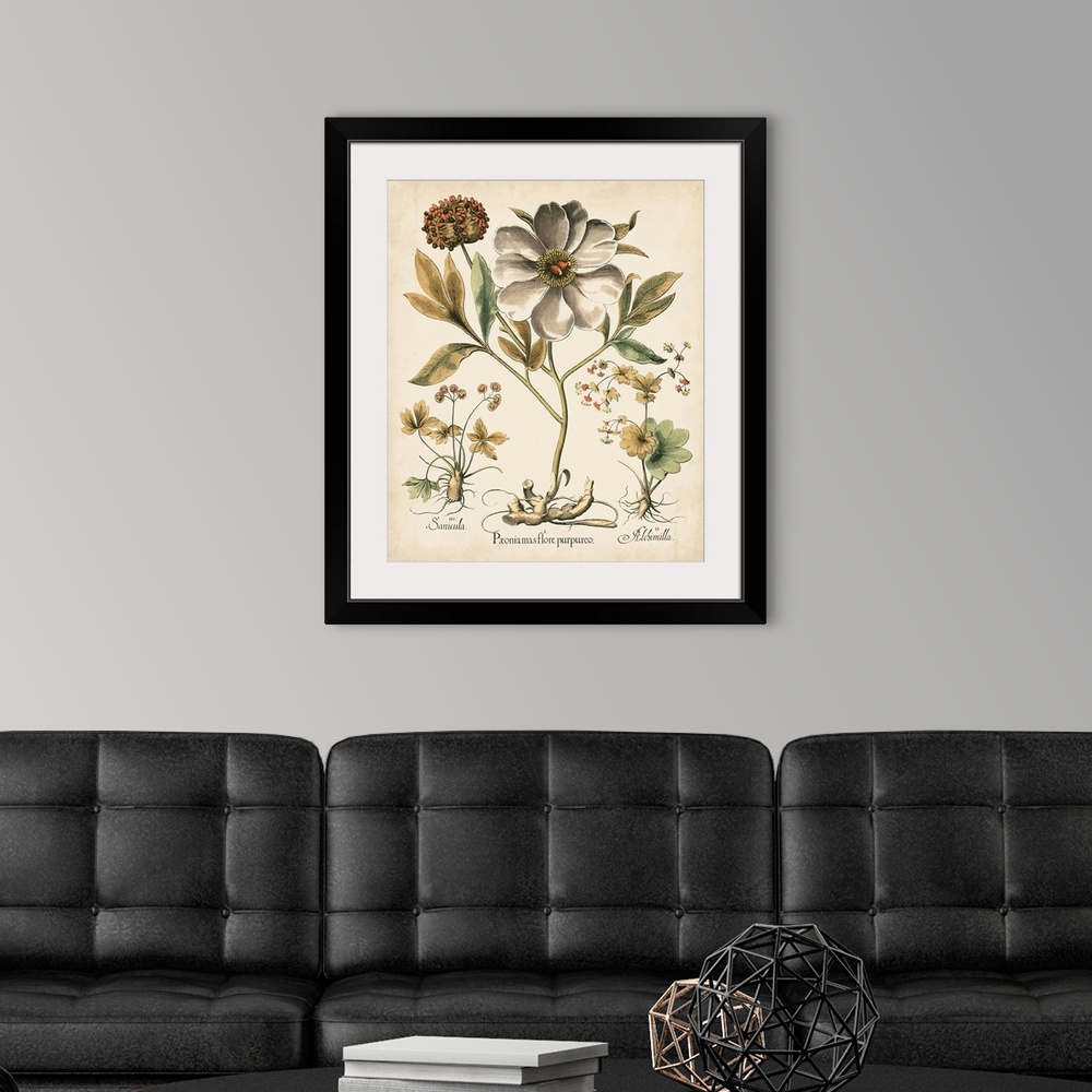 A modern room featuring Ivory Peonies II