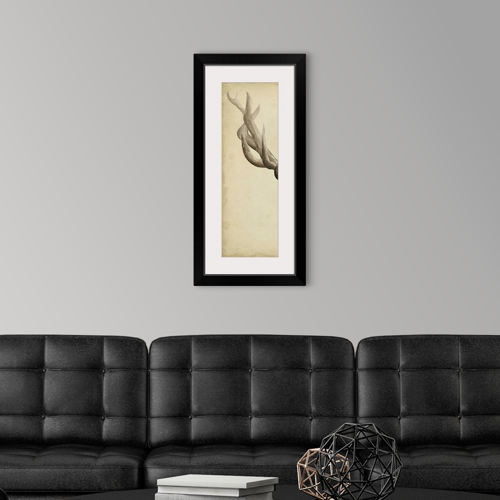 A modern room featuring Part of a triptych of a mounted elk and its antlers.