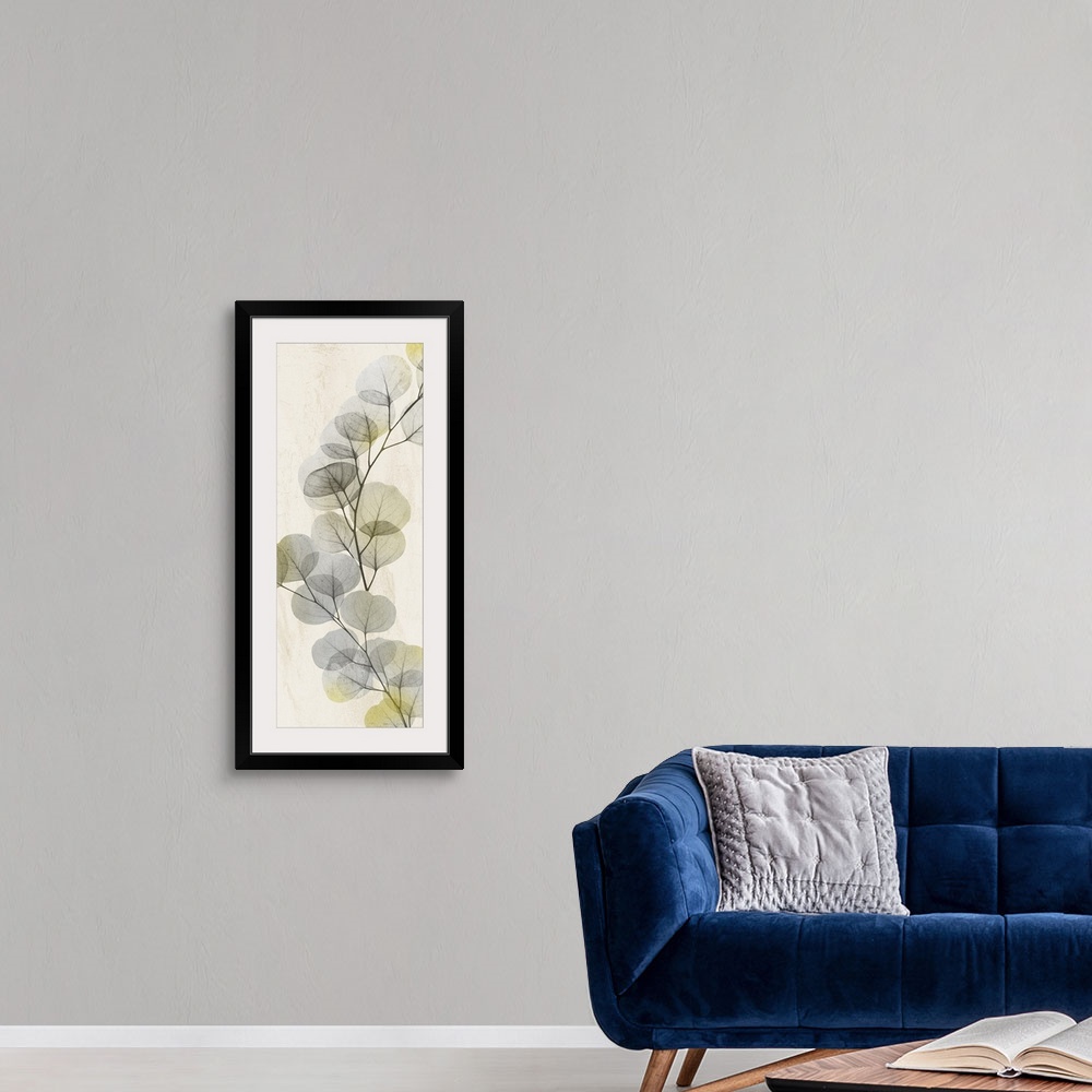 A modern room featuring X-ray style photograph of a branch full of rounded leaves.