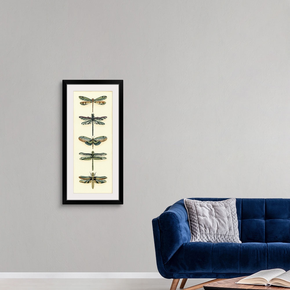 A modern room featuring Dragonfly Collector II