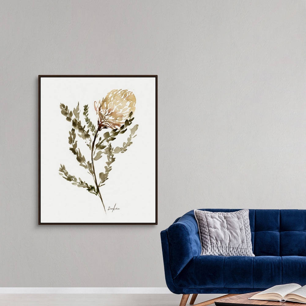 A modern room featuring Wild Banksia