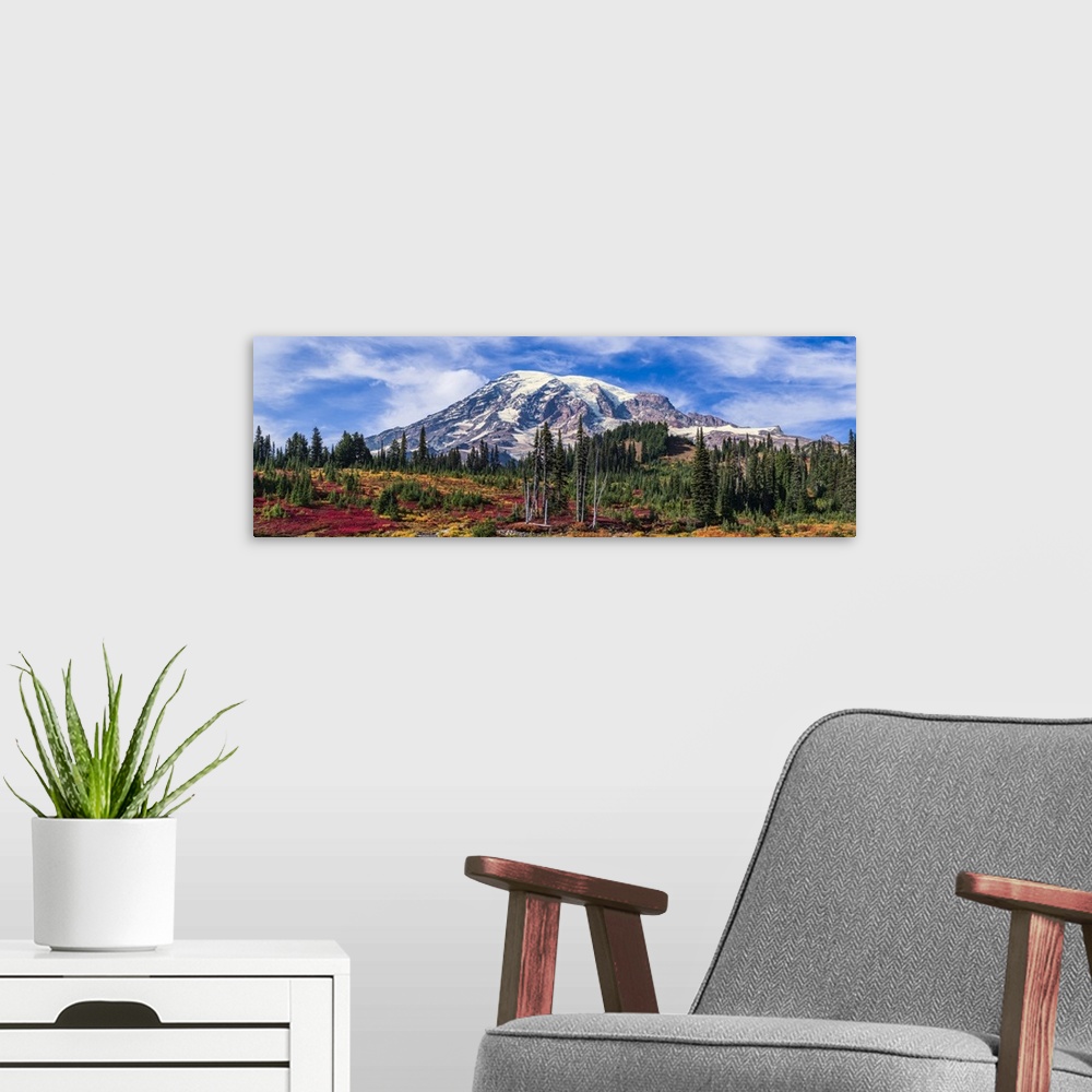 A modern room featuring Mount Rainier, Mount Rainier National Park; Washington, United States Of America