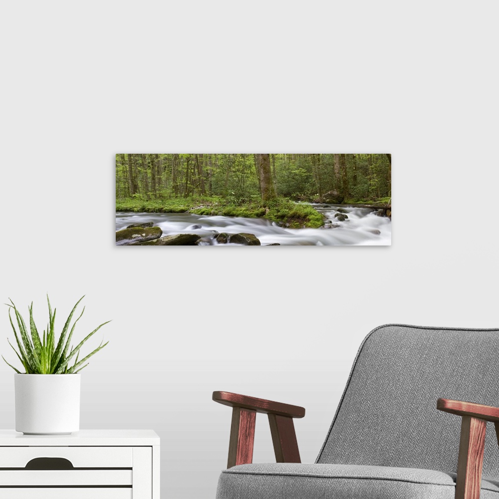 A modern room featuring Panoramic of Straight Fork Creek in spring, Great Smoky Mountains National Park, North Carolina