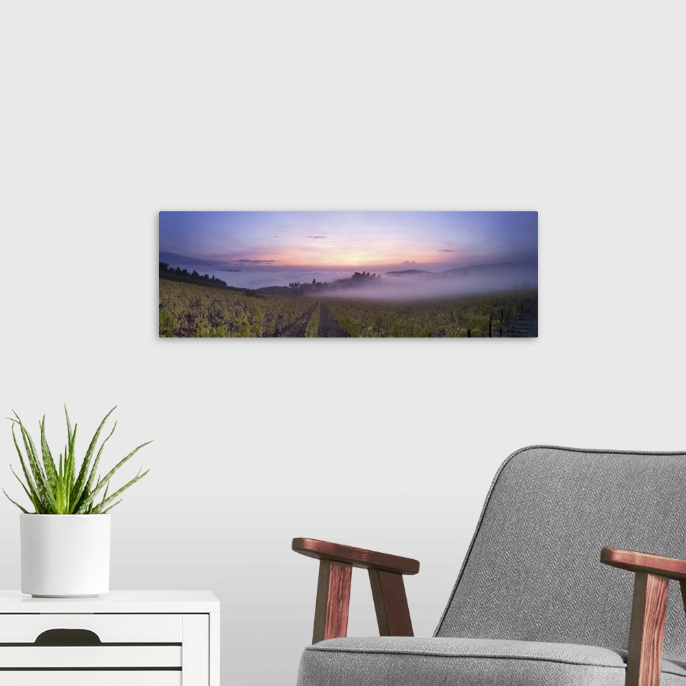 A modern room featuring Italy, Tuscany, Firenze district, Chianti, Greve in Chianti, sunset view near Panzano