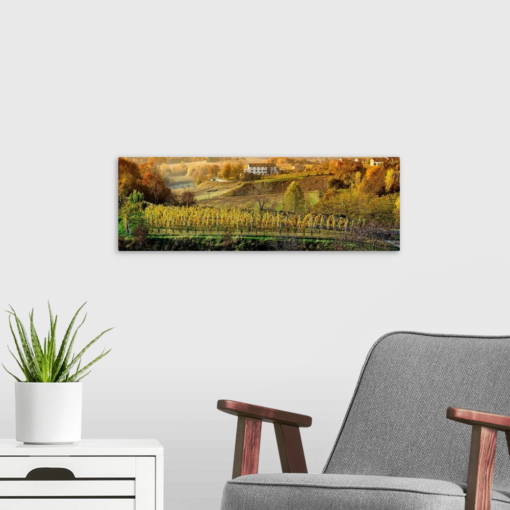A modern room featuring Italy, Veneto, Treviso, Prosecco Road, landscape with vineyards to Autumn