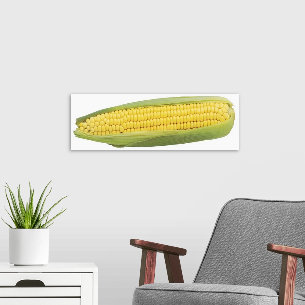 A modern room featuring Close-up of fresh corn-on-the-cob