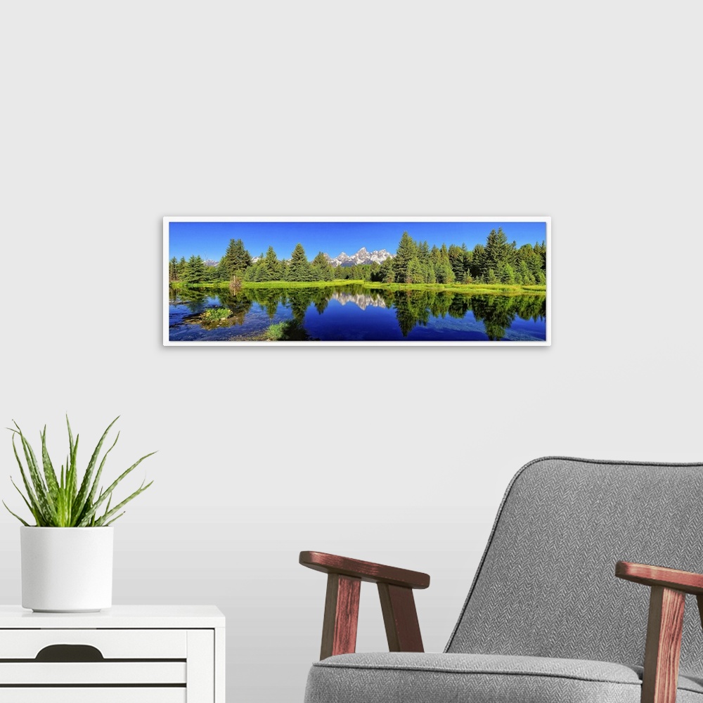 A modern room featuring Trees and peak reflection in Beaver pond, Grand Teton National Park