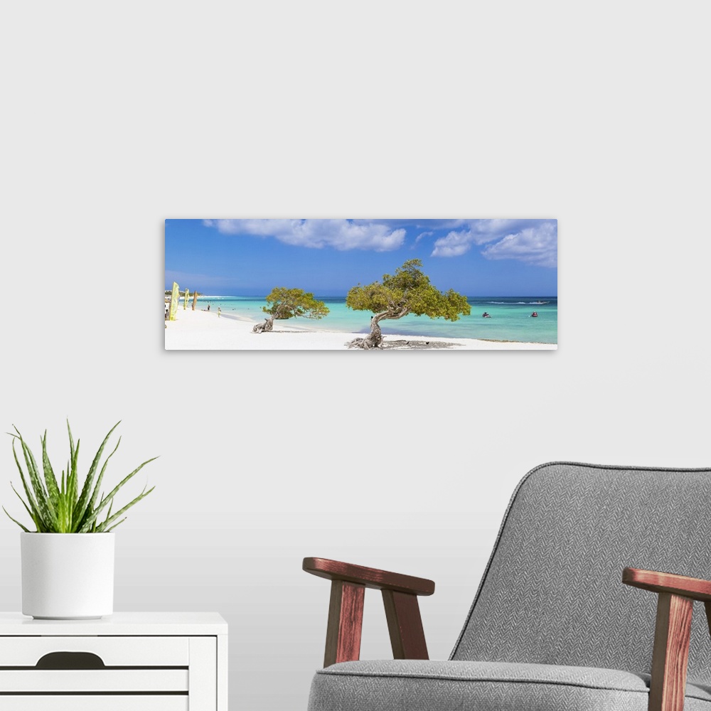 A modern room featuring Caribbean, Netherland Antilles, Aruba, Divi Divi Trees on Eagle Beach.