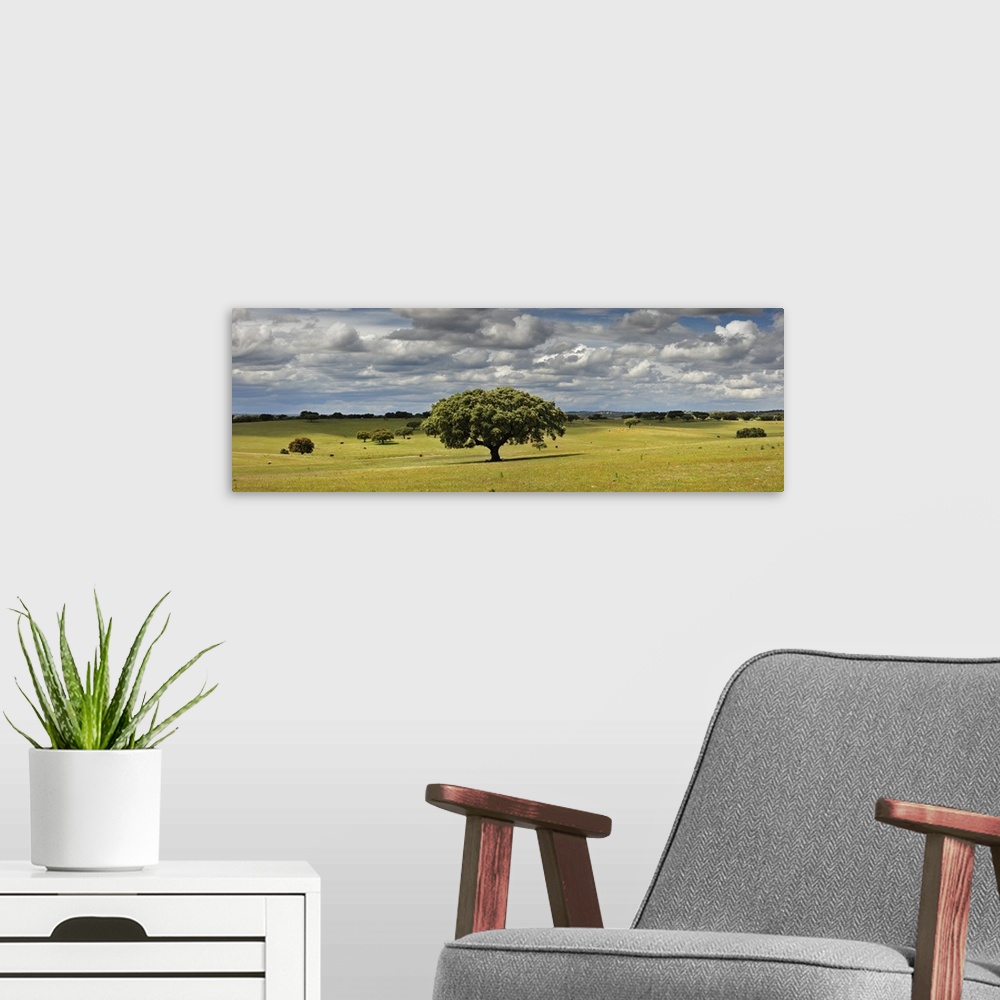 A modern room featuring Holm oaks in the vast plains of Alentejo. Portugal