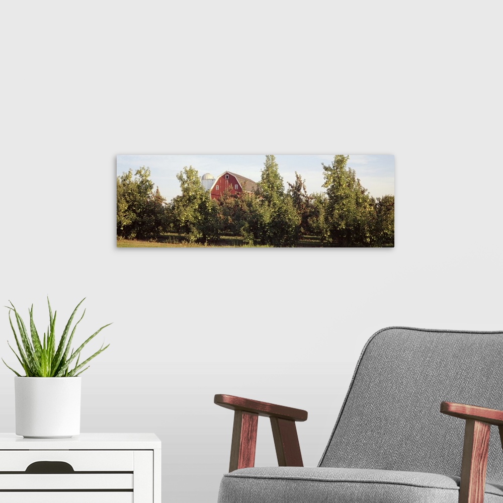 A modern room featuring Apple trees in an orchard, Kent County, Michigan