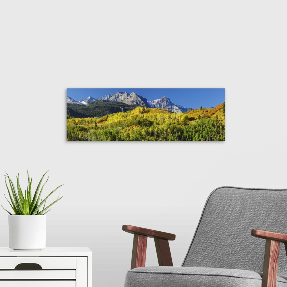 A modern room featuring Aspen trees with mountains in the background, Uncompahgre National Forest, Colorado