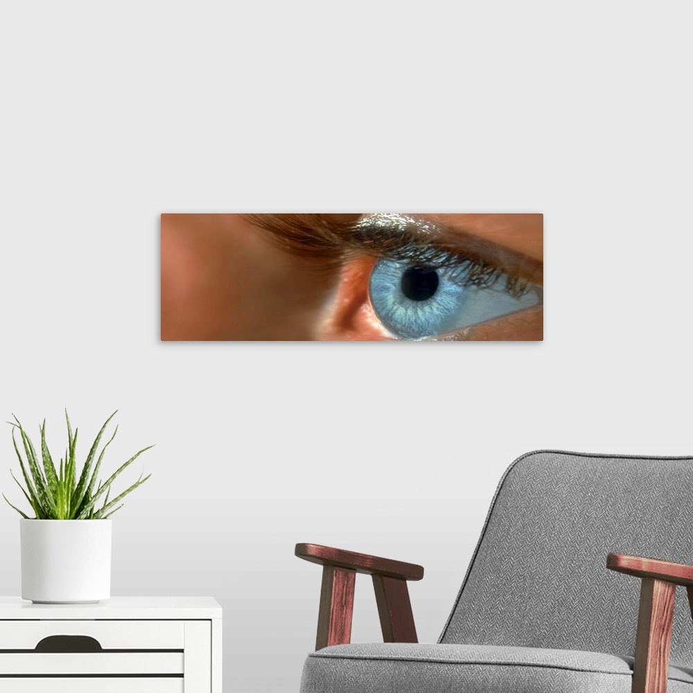 A modern room featuring Close-up of a human eye