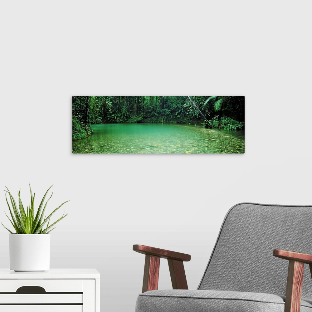 A modern room featuring Cooper creek flowing through a forest, Queensland, Australia