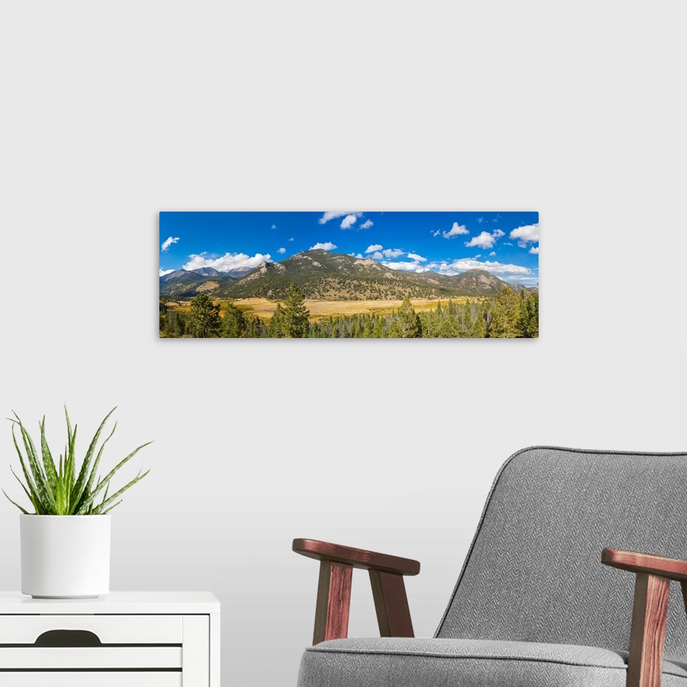 A modern room featuring Elevated view of trees on landscape, West Horseshoe Park, Rocky Mountain National Park, Colorado,...