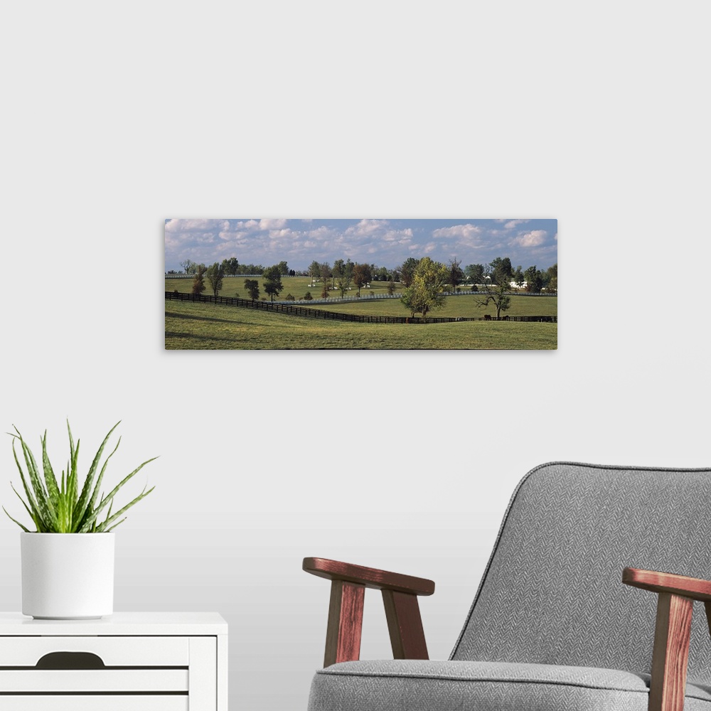 A modern room featuring Horse pastures in Lexington KY. Horse pastures with white and black fences on the Blue Grass Tour...