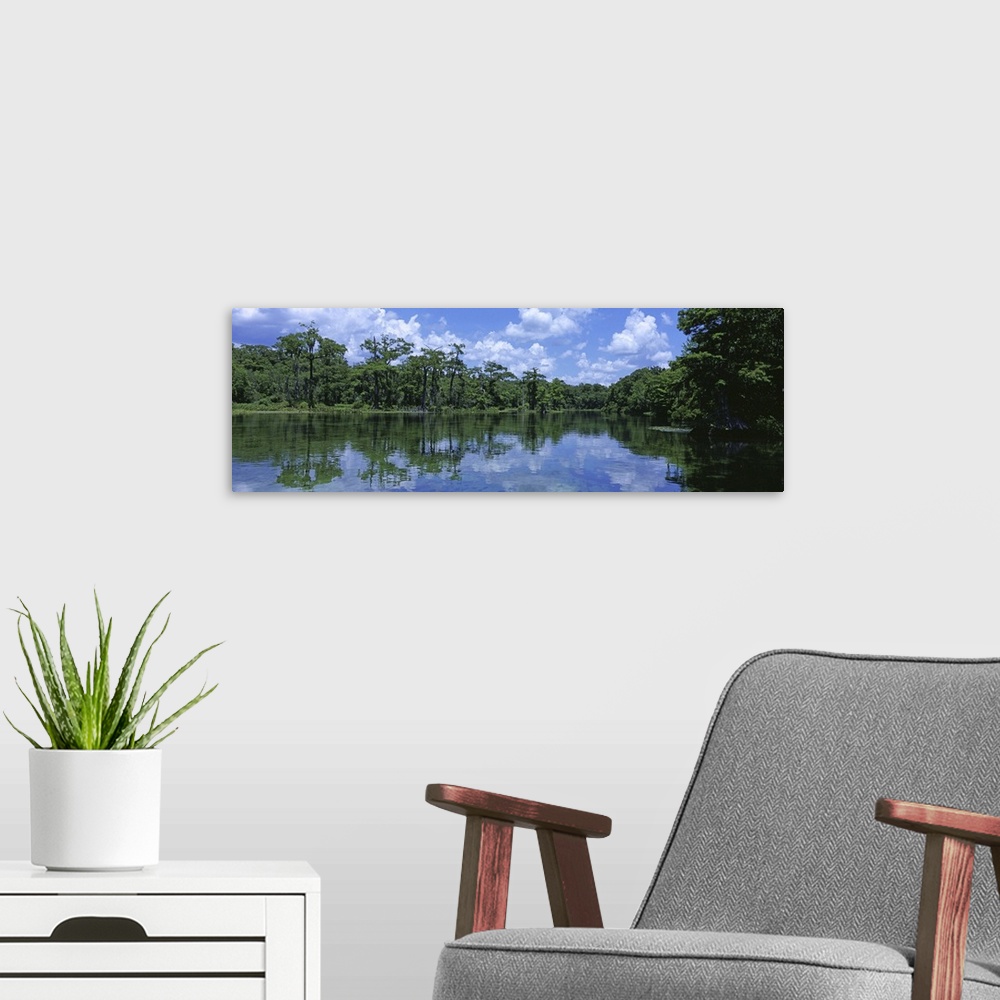 A modern room featuring Florida, Wakulla Springs State Park, Reflection of trees and cloud in river