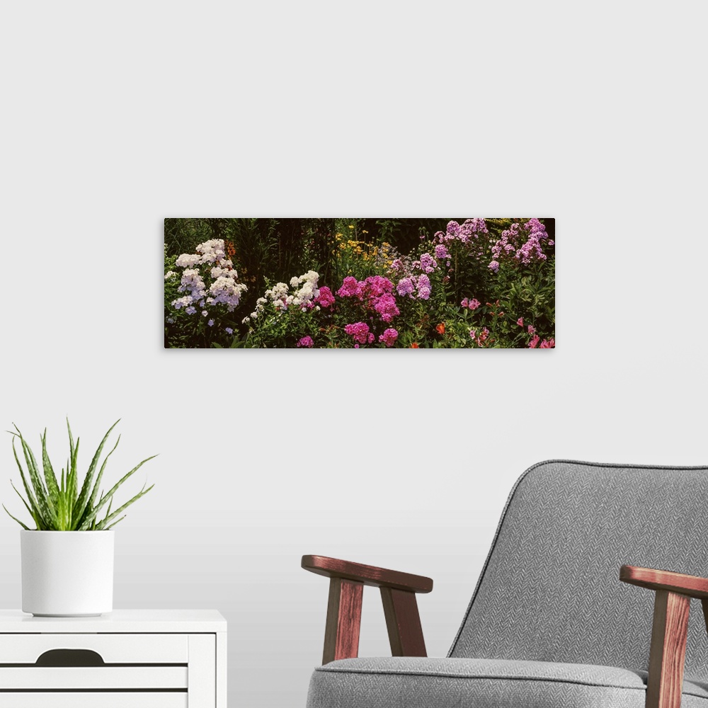 A modern room featuring Flowers in a garden, California