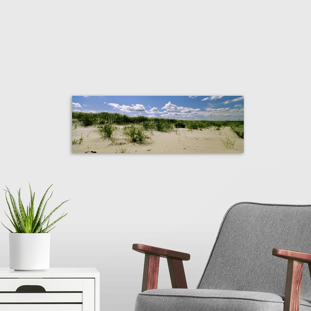 A modern room featuring Grass among the dunes, Crane Beach, Ipswich, Essex County, Massachusetts