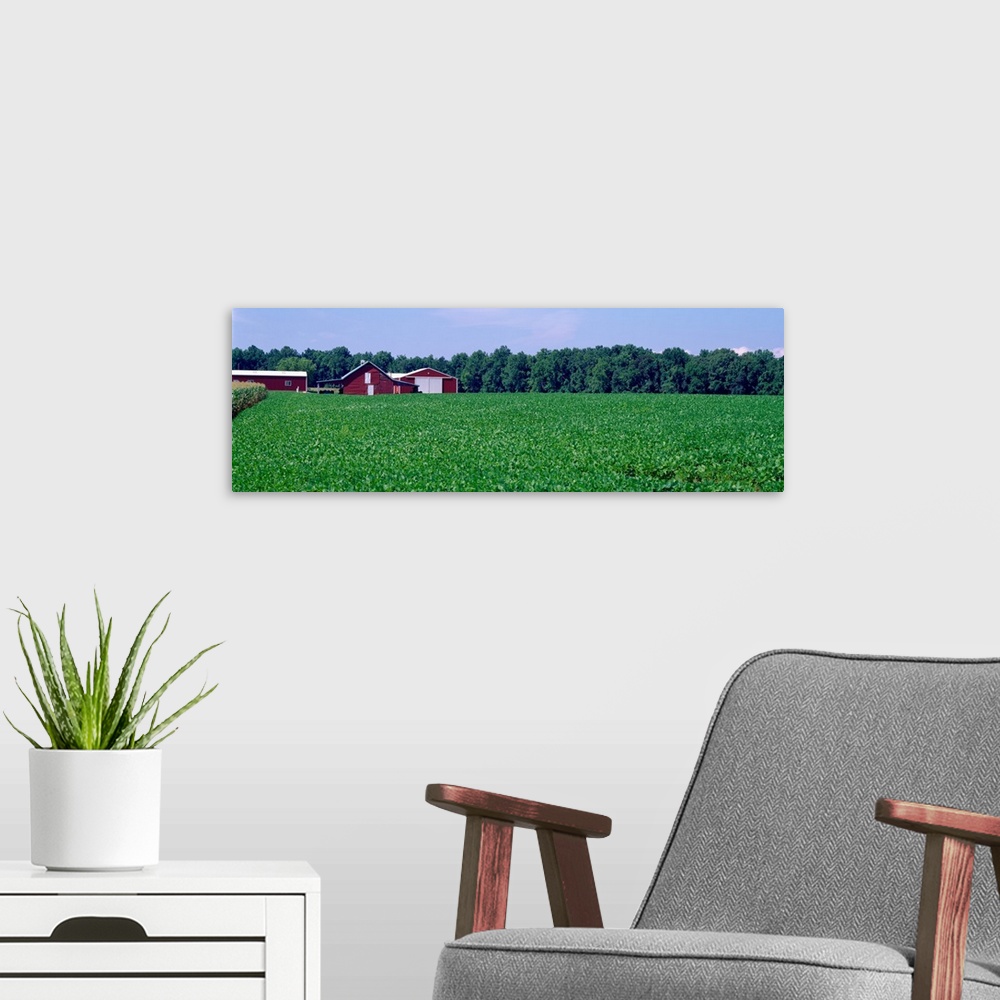 A modern room featuring Green field with barn in the background, Maryland, USA