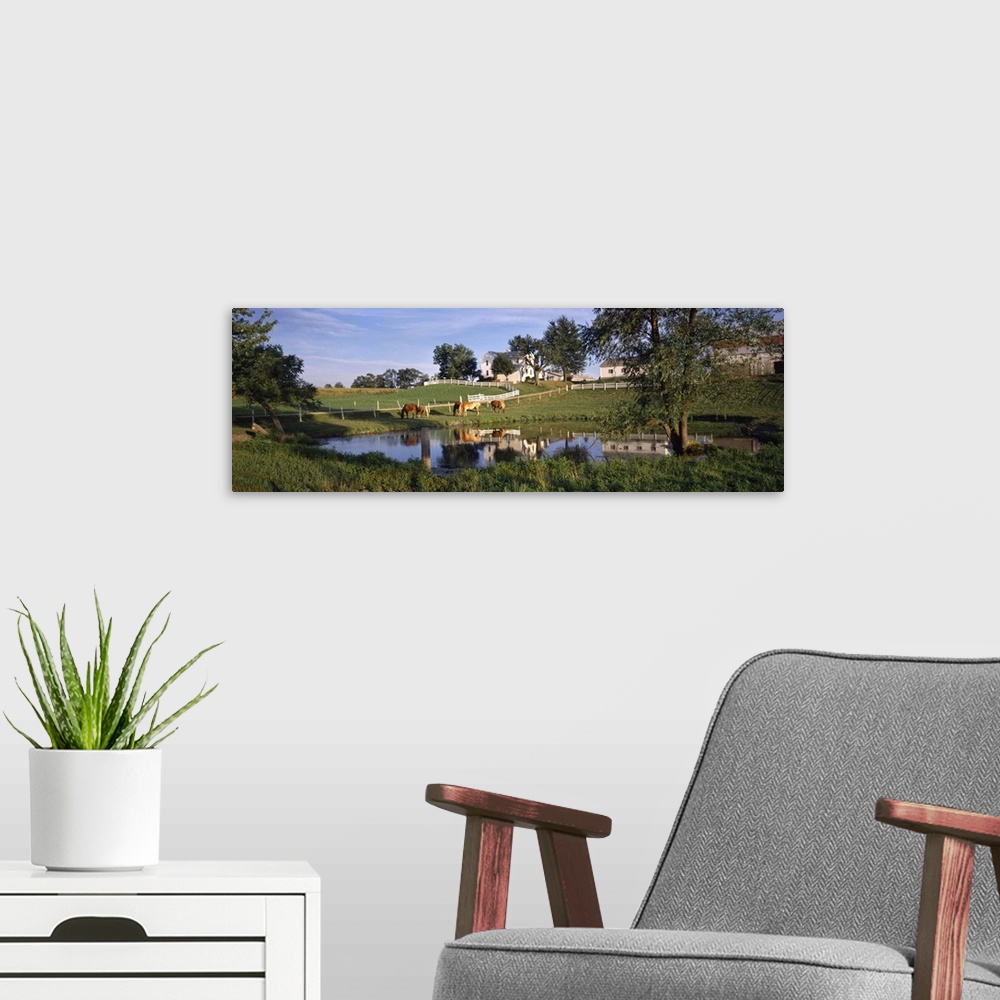 A modern room featuring Horses grazing at a farm, Amish Country, Indiana