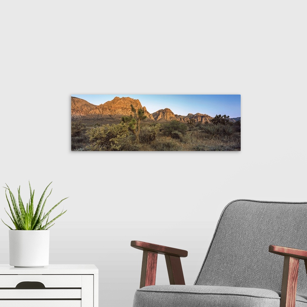 A modern room featuring Joshua trees in a desert, Red Rock Canyon, Las Vegas, Nevada