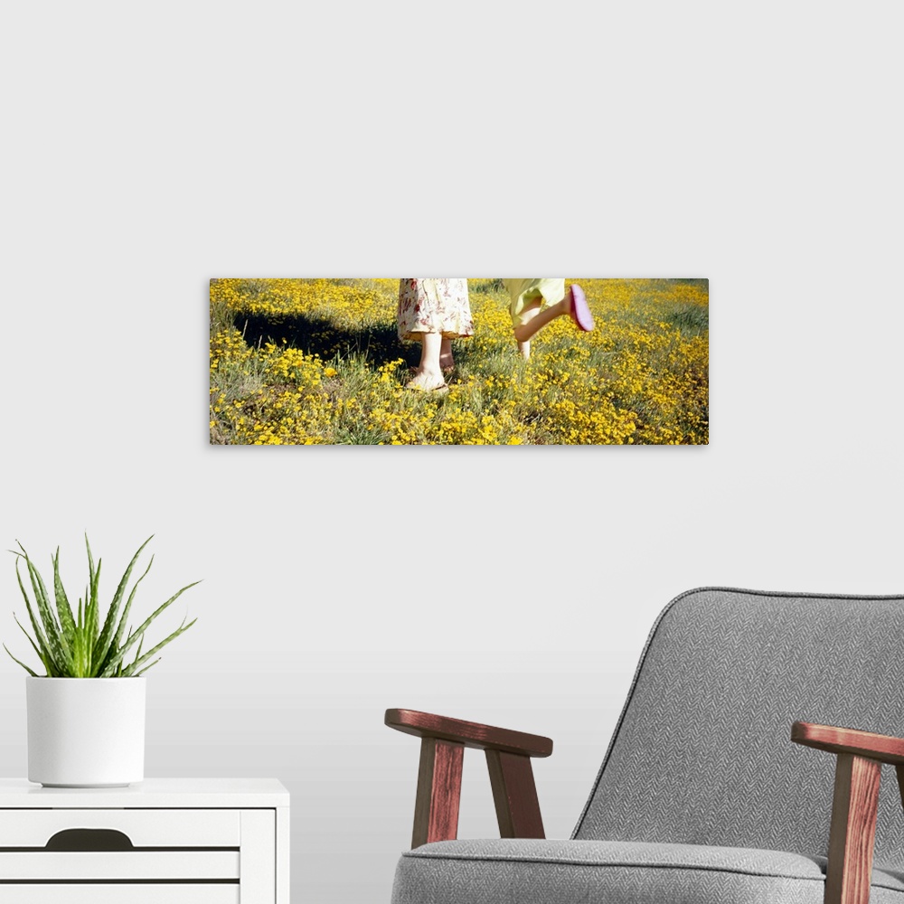 A modern room featuring Low section view of a woman and her daughter in a field, Marin County, California