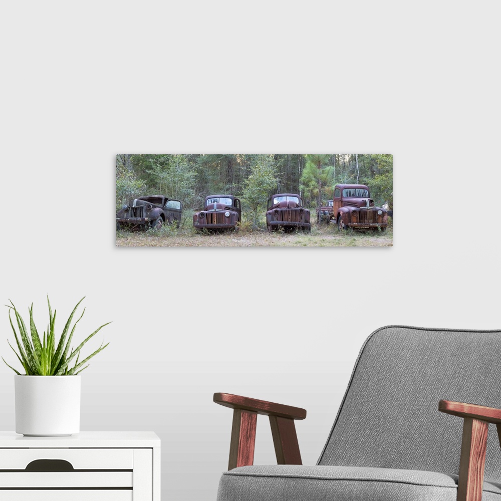 A modern room featuring Old rusty cars and trucks on Route 319, Crawfordville, Wakulla County, Florida